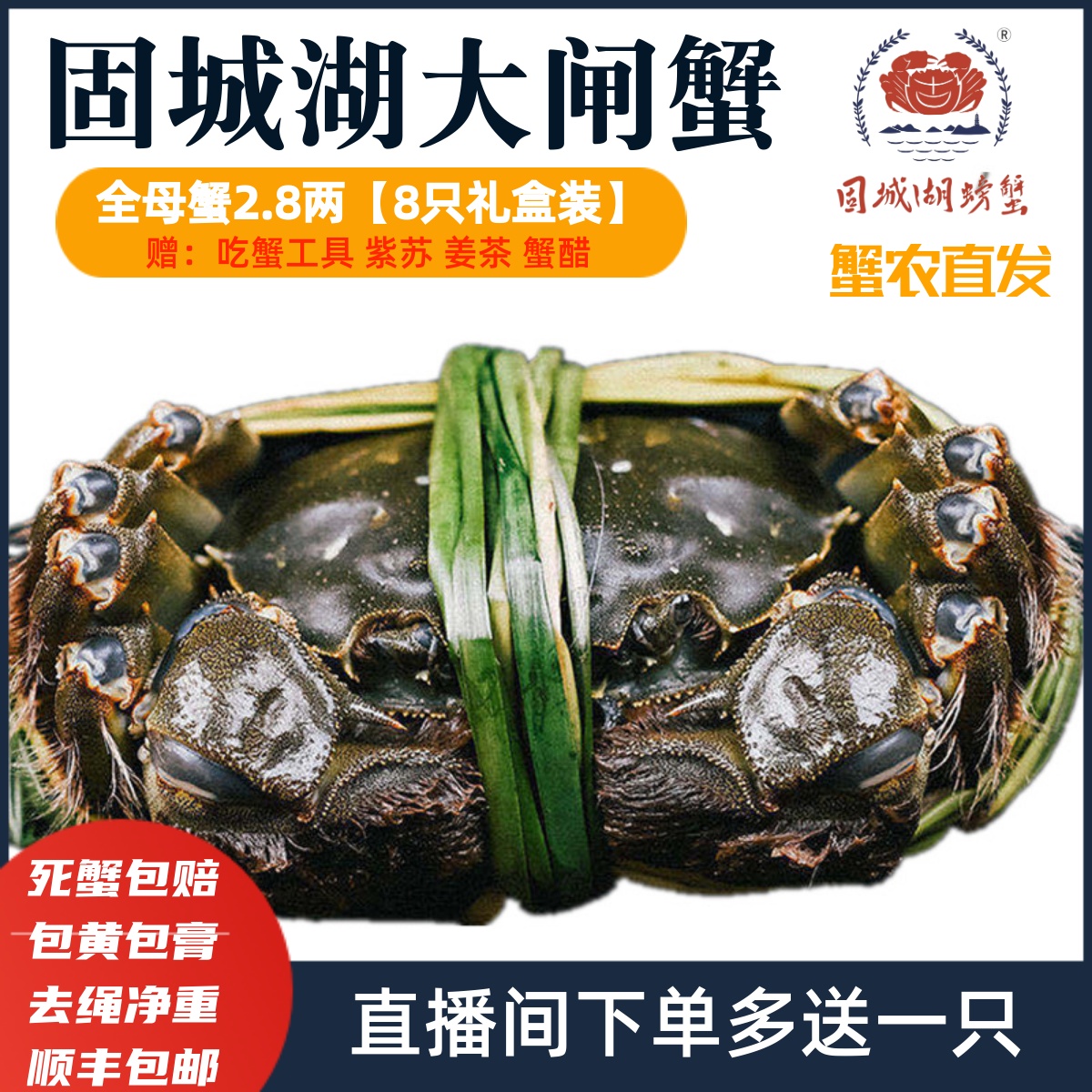 鲜活水产固城湖大闸蟹现货包邮