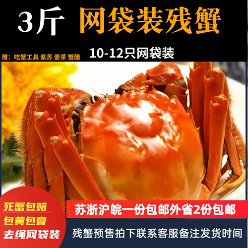 水产鲜活断脚大闸蟹10现货包邮