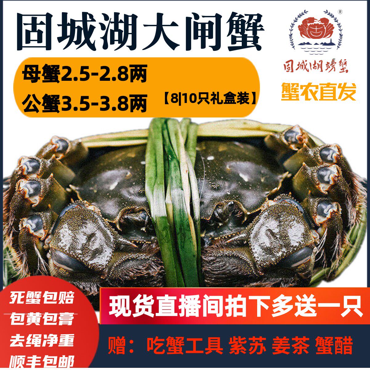 活蟹精品】固城湖大闸蟹净重公蟹3.5-3.8两母2.5-2.8两8|10只礼盒