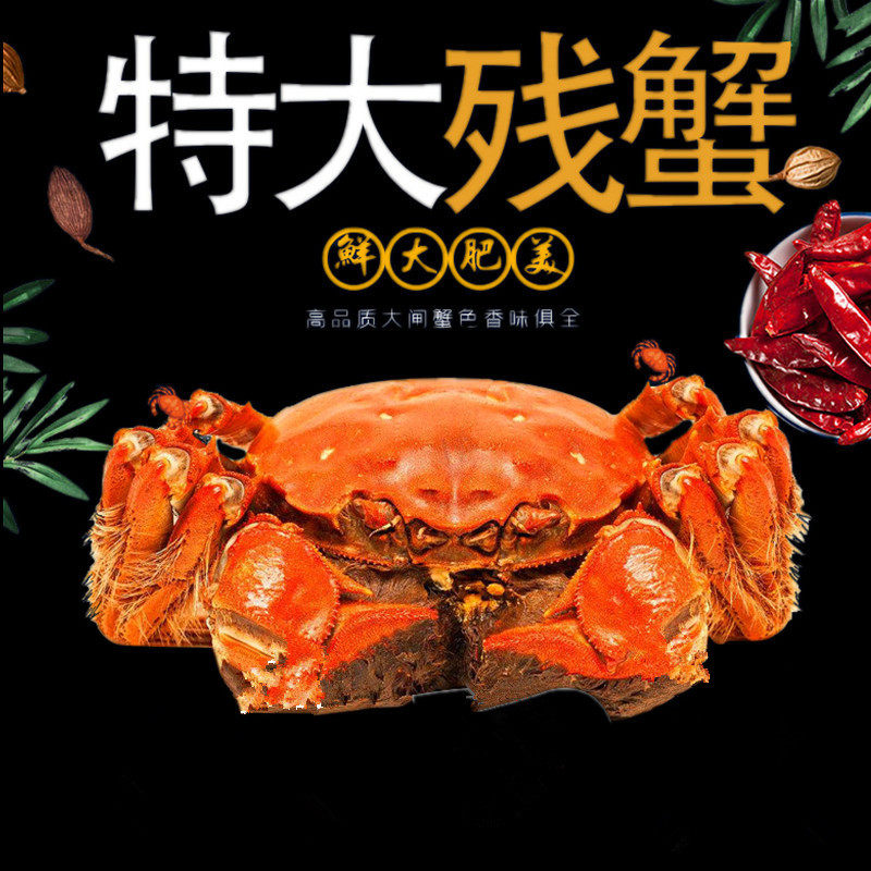 活蟹残蟹8只固城湖大闸蟹鲜活螃蟹断脚蟹残蟹母2.5-2.8两公3.5两
