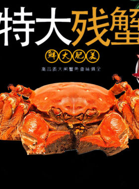 活蟹残蟹裸重公蟹3.5-3.8两母蟹3-3.3两鲜活残蟹缺腿蟹断脚蟹6只