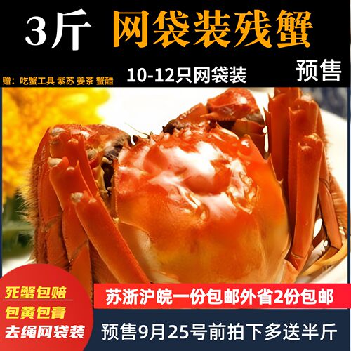 水产鲜活断脚大闸蟹10现货包邮