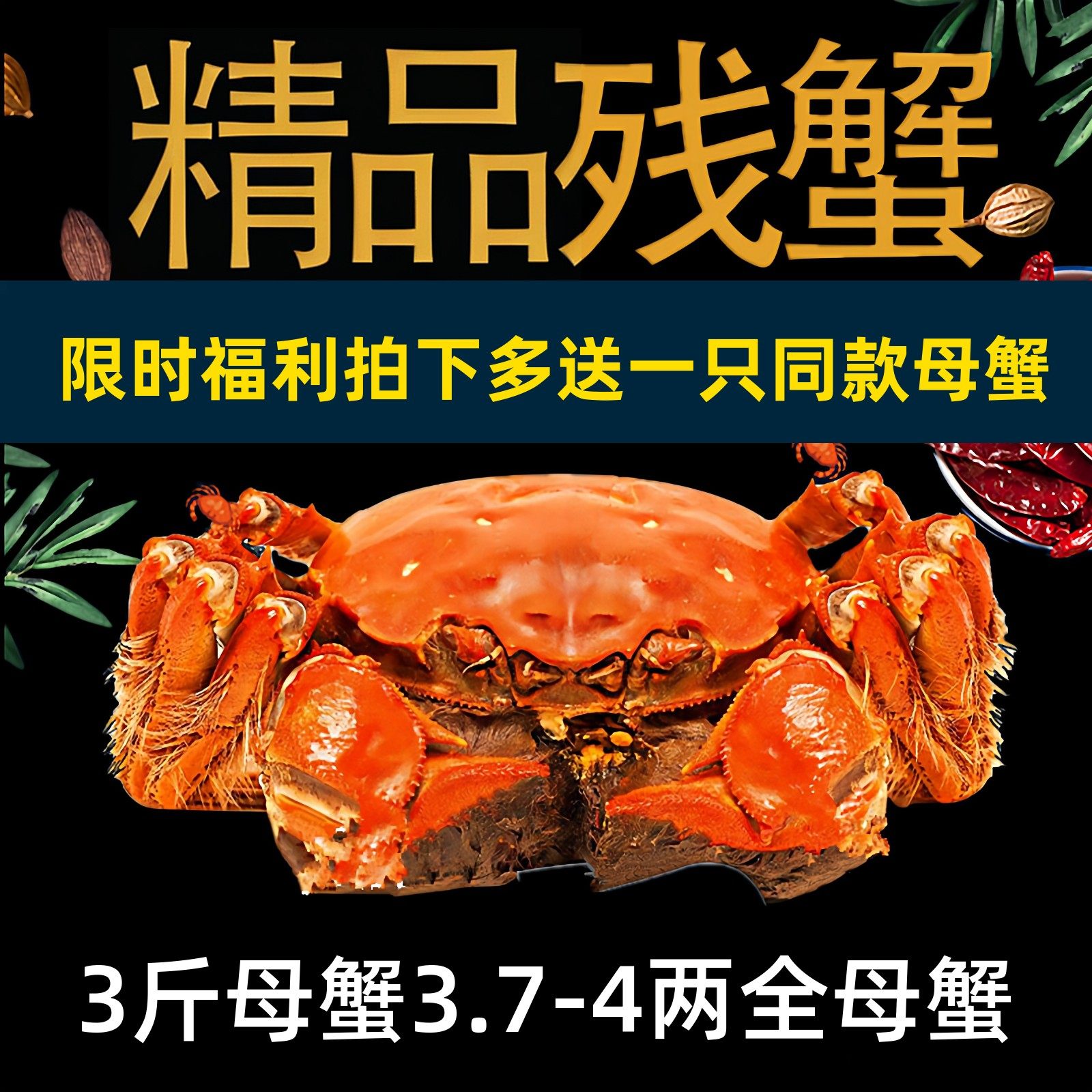 活蟹全母残蟹净重3斤8只