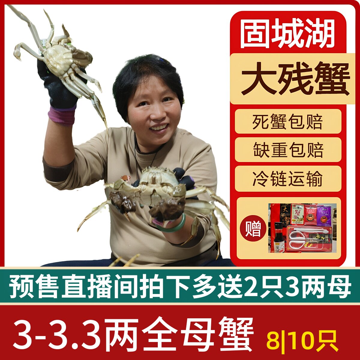 3两全母螃蟹鲜活大闸蟹残蟹