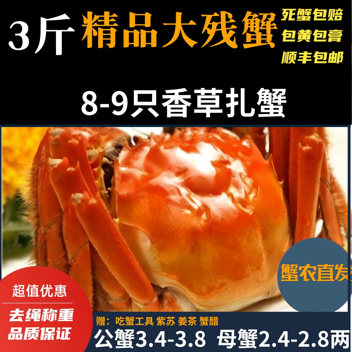 活蟹残蟹】固城湖大闸蟹螃蟹断脚残蟹3斤公蟹3.5两母蟹2.5-2.8两