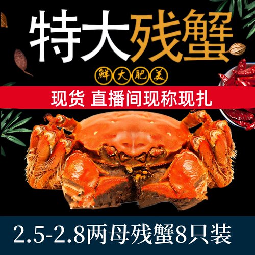 【特大母蟹8只】鲜活断脚残次蟹