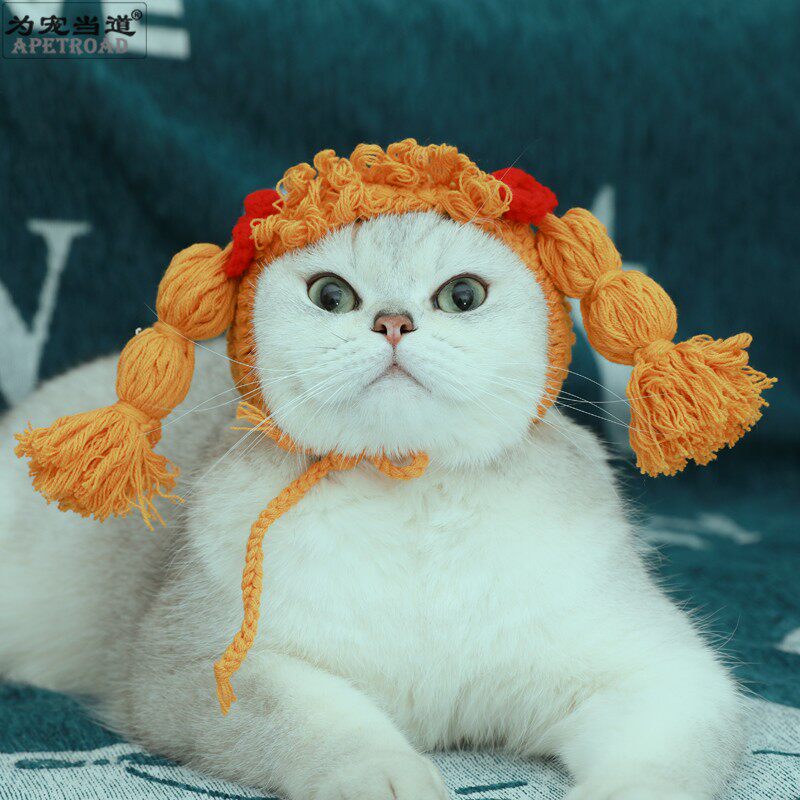 为宠当道搞笑手工猫咪帽