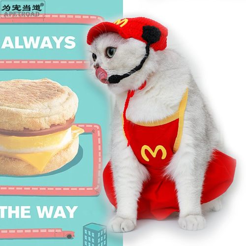 为宠当道围兜变身猫狗