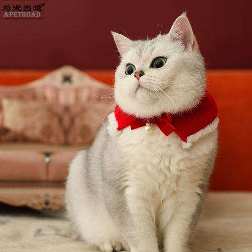 虎年新年春节宠物项圈披风领子