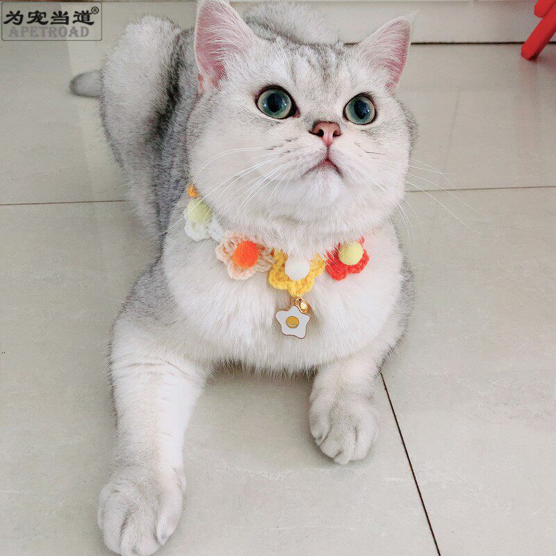 糖果色花环假领手工编织圣诞猫咪