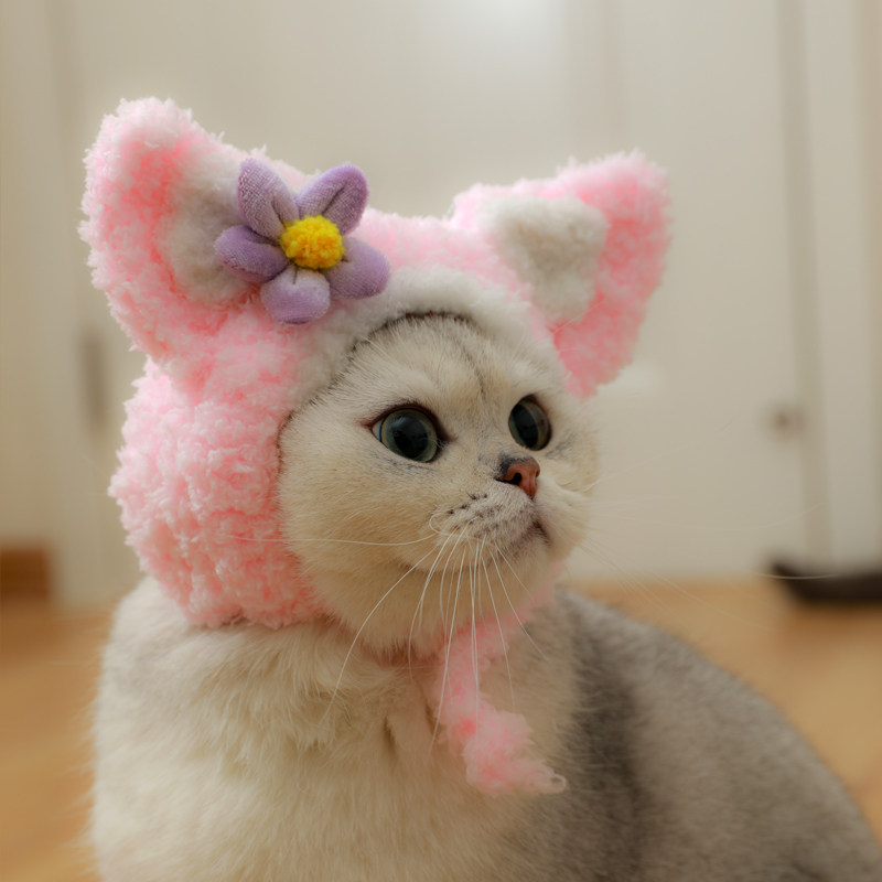 为宠当道猫咪卡通头套玲娜贝儿