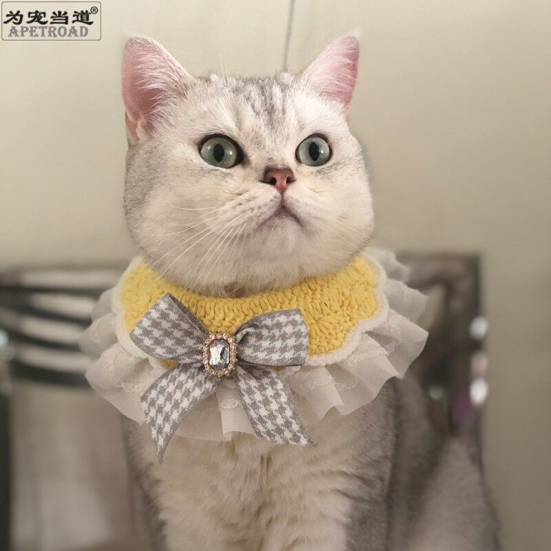 ins新款宠物蕾丝项圈蝴蝶结猫咪