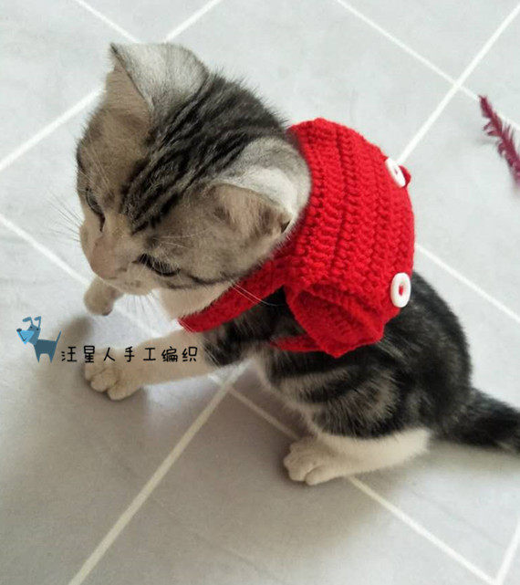 猫咪小型犬书包为宠当道