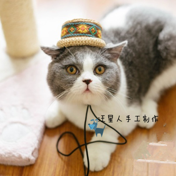 拉菲狗狗法斗巴哥摄影拍照太阳帽