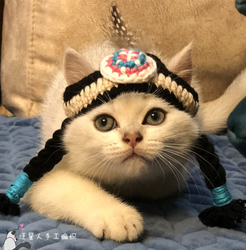 宠物搞笑帽子饰品 土著人印第安人头饰 猫咪头套拍照抖音道具 - 封面