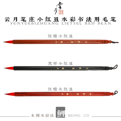 云月笔庄小红豆小楷毛笔国画水彩插画入门初学者综合笔大红豆狼毫