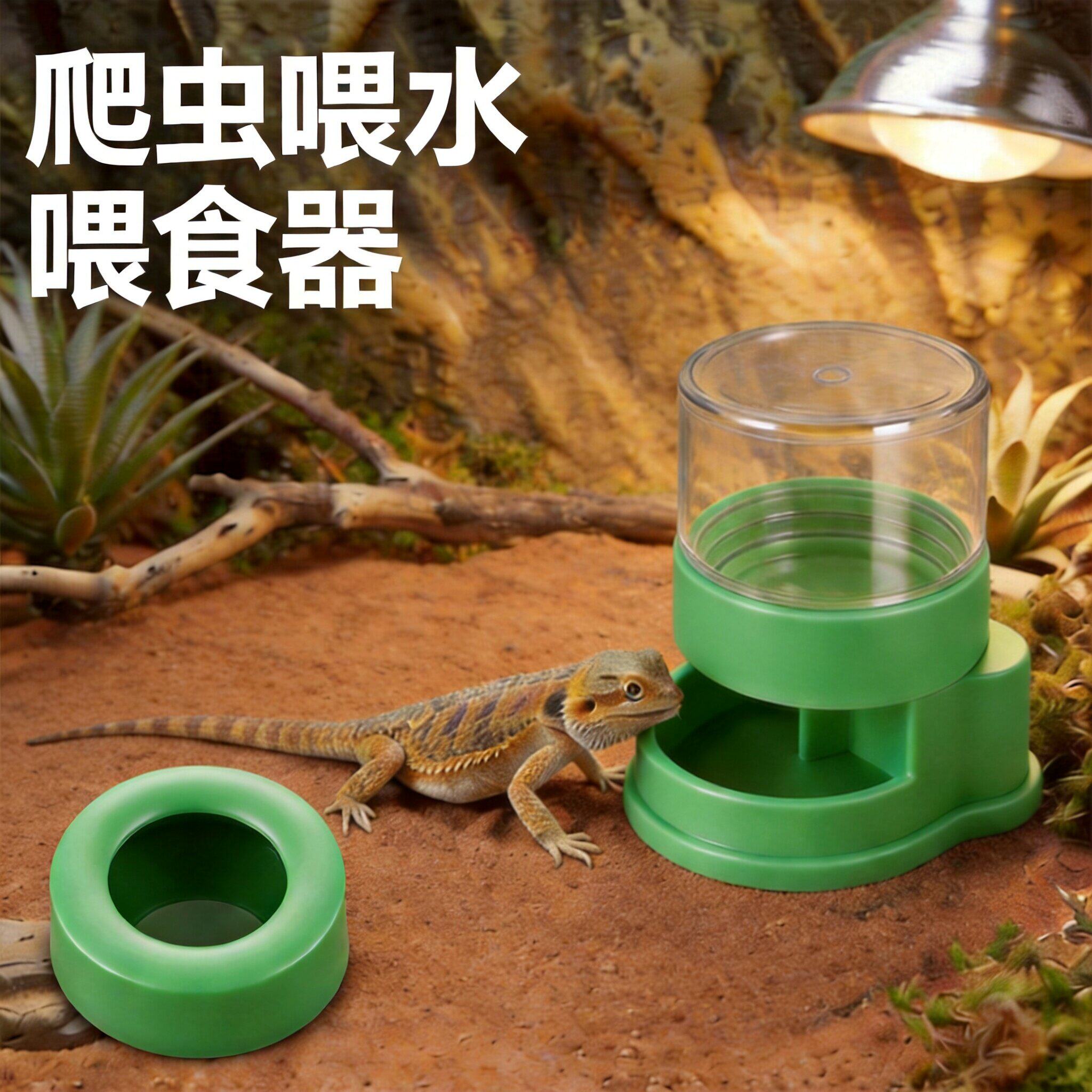 蜥蜴小爬宠睫角守宫变色龙壁虎仓鼠自动饮水器小型饮水机爬虫用品图片
