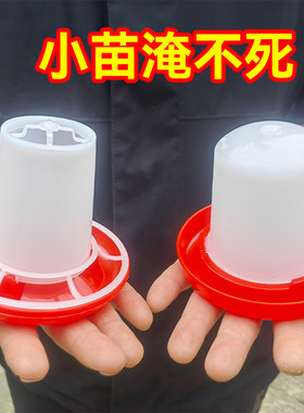 芦丁鸡鹌鹑鸡鸭鹅饲料筒家禽养殖设备喂食器喂水器自动喂水下料筒