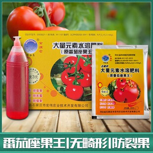无畸形番茄座果王西红柿坐果王蘸花药点花药 座果灵沾花喷花药水
