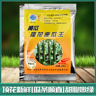 黄瓜顶花增长座瓜王专用座果王增瓜座瓜灵提高座果率顶花带刺顺直