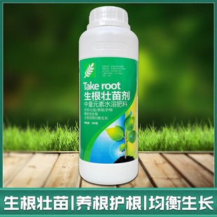 生根壮苗剂生根粉生根液移栽扦插果树蔬菜花卉绿萝生根发根剂500g