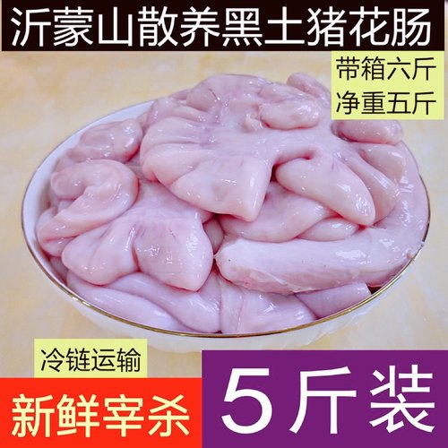 新鲜优质猪花肠子宫胎盘