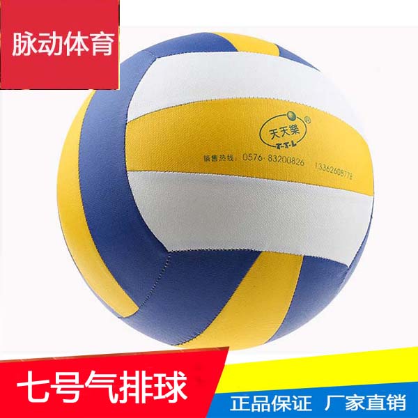 Ballon de volley - Ref 2012969 Image 5