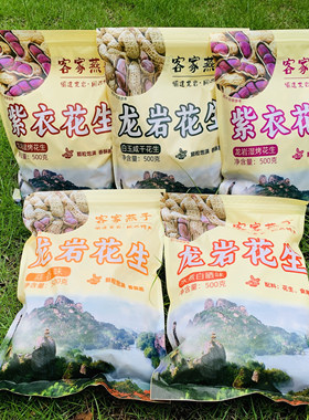 福建龙岩湿烤紫衣花生咸干香脆红衣花生水煮晒干五香味客家燕子