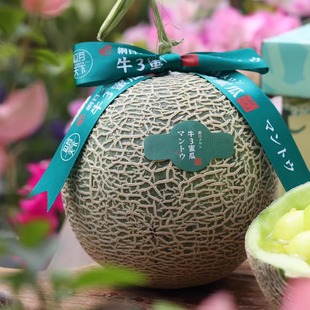 精品牛3蜜瓜 新鲜现摘海南三亚当季时令水果口口网纹玫珑甜哈密瓜