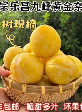 正宗乐昌九峰黄金奈李孕期蜂糖李子应季水果新鲜脆甜当季现摘现发