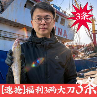 【直播福利】江阴优质冰鲜刀鱼2.5-2.7两海刀鱼新鲜顺丰空运
