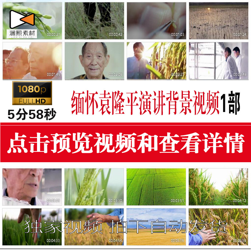 缅怀袁隆平爷爷院士国士无双演讲背景屏幕纪录片学生朗诵视频素材