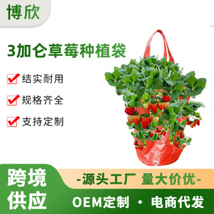 黄色橙色3加仑悬挂式草莓袋园艺花卉种植袋PE空中园艺种植亚马逊