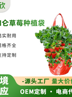 跨境亚马逊PE草莓种植盆橙色3加仑悬挂种植袋黄色草莓袋OEM定制
