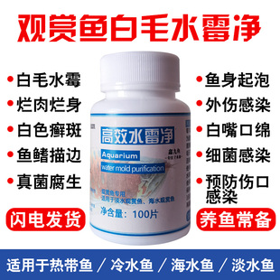 水霉净片鱼用鱼水族水质杀菌白毛除白毛白点烂尾烂肉烂身充血水霉