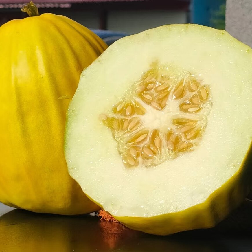 麻阳丑八怪香瓜   脆甜 香味浓