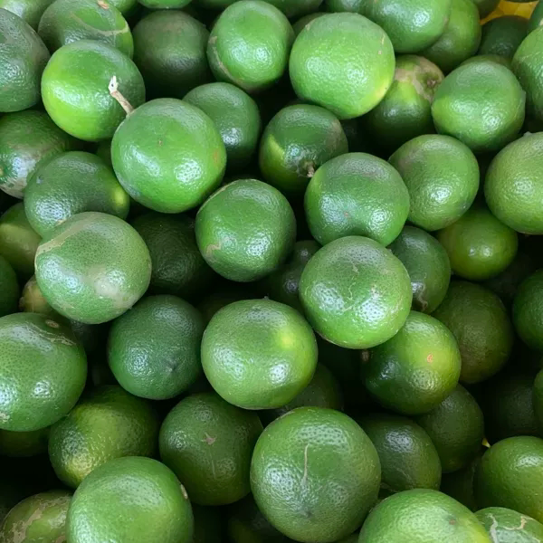 正宗广西农家土柠檬上市啦 腌咸柠檬专用牛脚子头茬大果 - 实物图