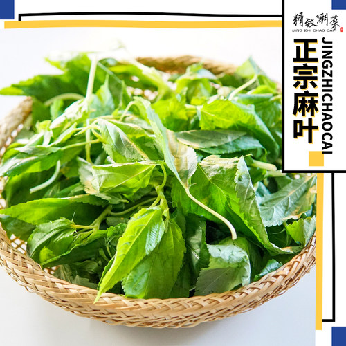 精致潮菜潮汕特产正宗烫250g麻叶