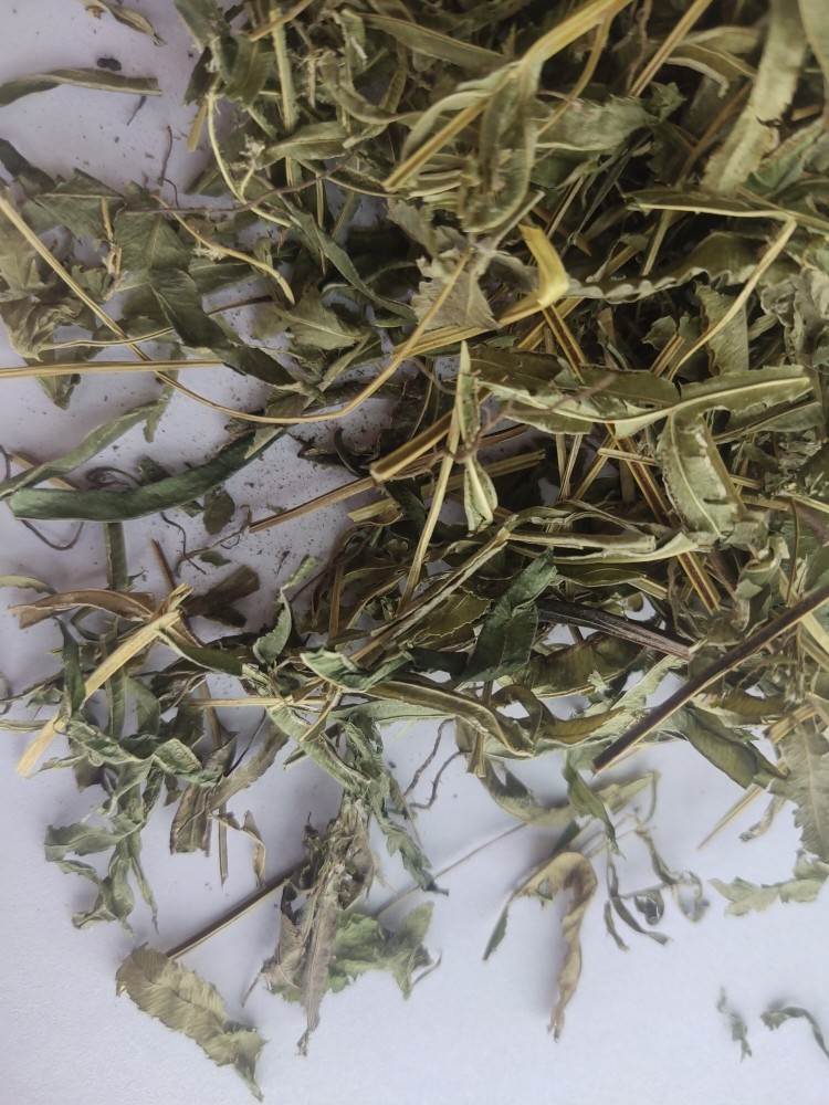 新货凤尾草中药材鸡脚草中草药金鸡尾井边凤尾五指草干货
