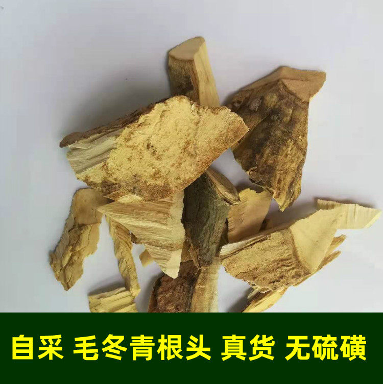 毛冬青根 细叶冬青茶叶根 冬青根 500g 新货真货纯根头包邮