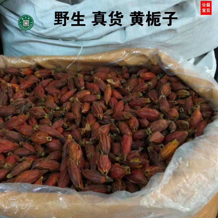 黄枝子 栀子茶 栀子果 栀子干 黄栀子 山栀子 黄果 500克包邮