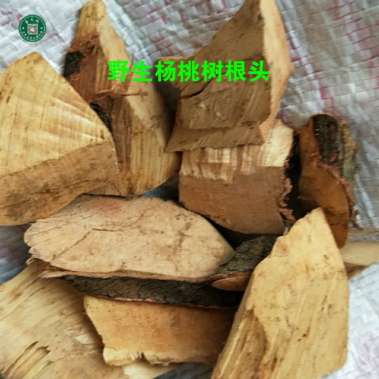 杨桃树树根 杨桃树根头 杨桃根 真货 新货 树头 树根 500克包邮