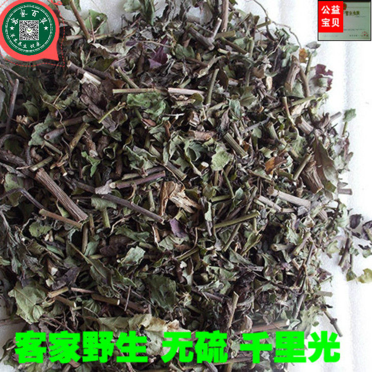 千里光 黄花母 九里明 九里光 九龙光 九岭光 500g 新货包邮
