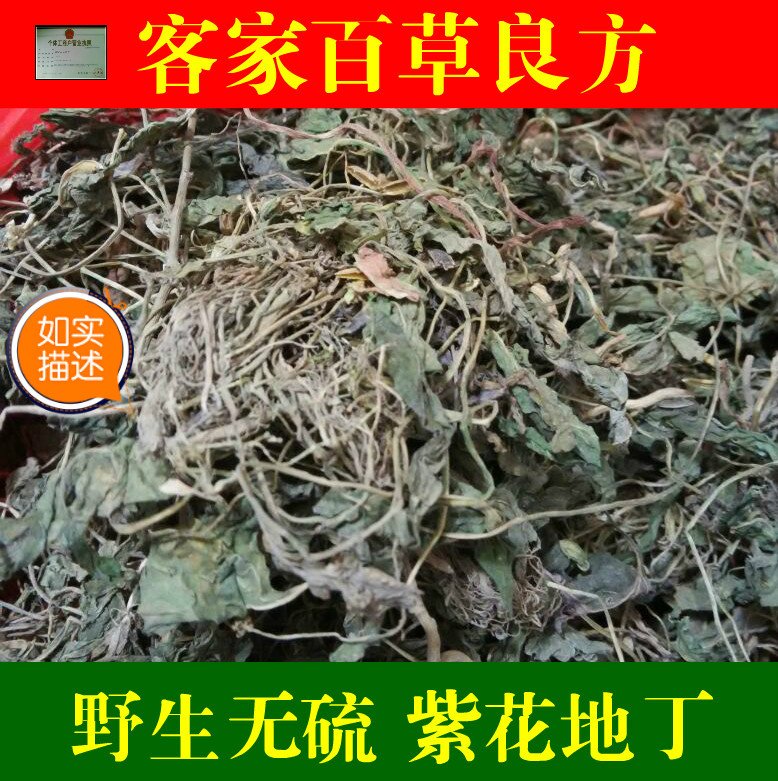 无硫 紫花地丁草 犁头草 紫地丁 兔耳草 辽堇菜500g
