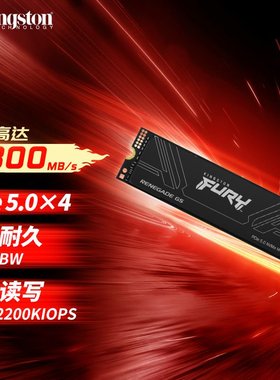 金士顿 FURY SSD固态硬盘 M.2 (NVMe PCIe5.0×4)  读速14800MB/s