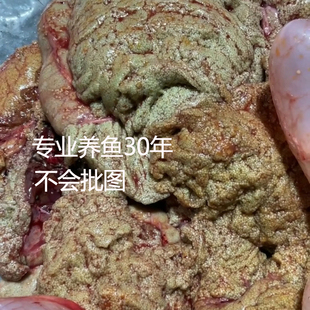 新鲜鲤鱼籽2斤鱼白鱼鱼籽鱼杂鱼肚鱼子鱼宝鱼肠泡鲢饭店商用批发