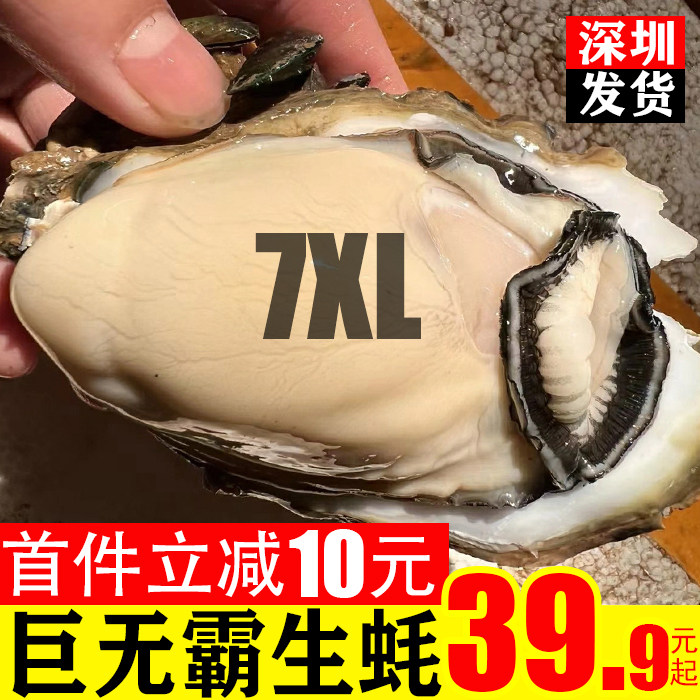 深圳本地生蚝特大号鲜活5斤10斤装牡蛎带壳加大7XL海鲜水产乳山