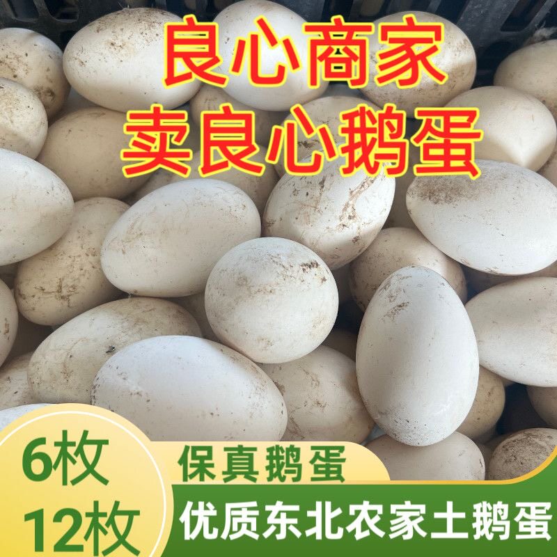 东北笨鹅蛋自家散养大鹅蛋土鹅蛋新鲜现发溜达鹅蛋现下现发