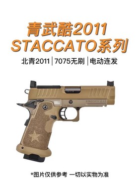北青2011全新STACCATO系列青武酷电动合金2011电动玩具P版C2 XC版