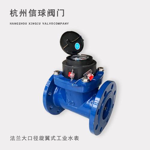 宁波牌总厂水表LXLC水平立式可